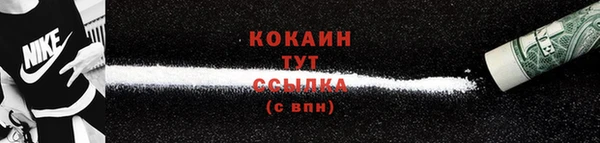 соль курить ск Белокуриха