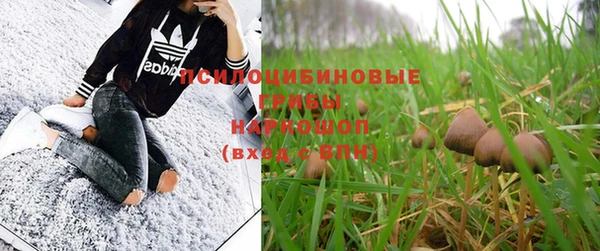 соль курить ск Белокуриха